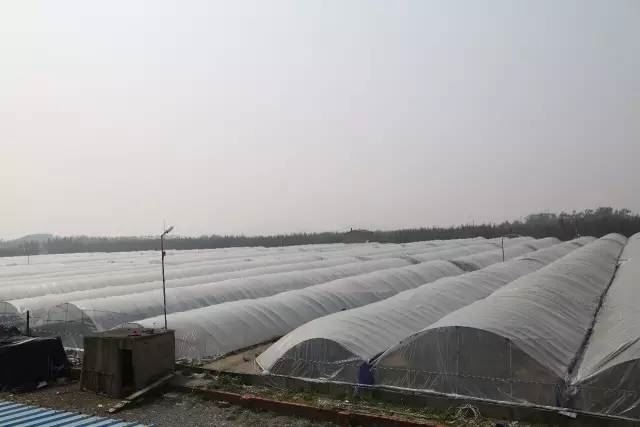 中國養殖基地 yzjidi.com
