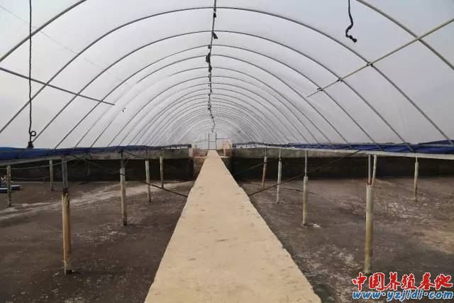 中國養殖基地 yzjidi.com