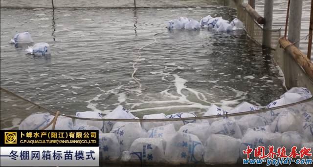中國養殖基地 yzjidi.com