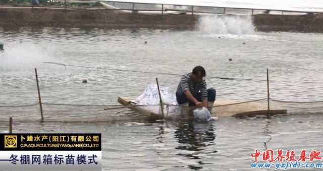 中國養殖基地 yzjidi.com