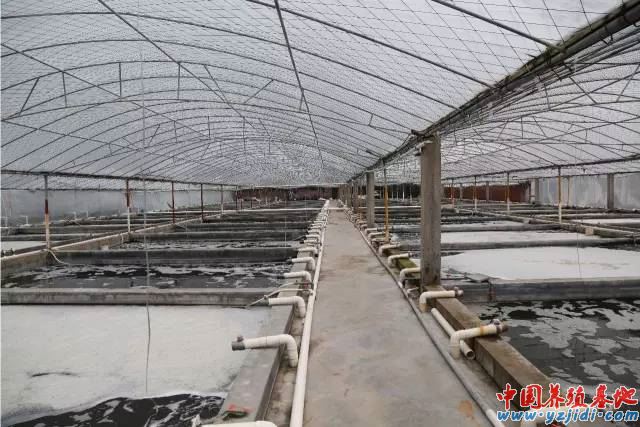 中國養殖基地 yzjidi.com
