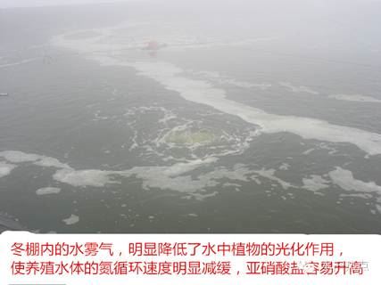 中國養殖基地 yzjidi.com