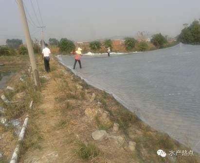 中國養殖基地 yzjidi.com