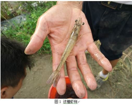 中國養殖基地 yzjidi.com