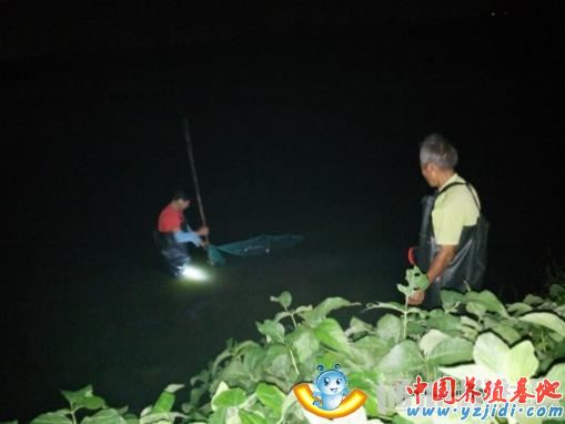 中國養殖基地 yzjidi.com