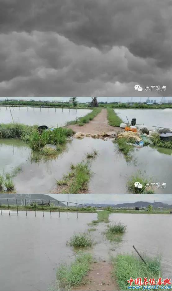 中國養殖基地 yzjidi.com