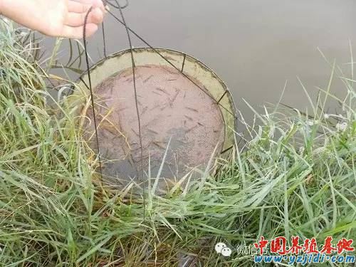 中國養殖基地 yzjidi.com