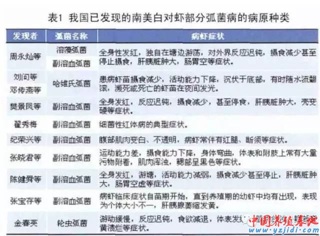 中國養殖基地 yzjidi.com