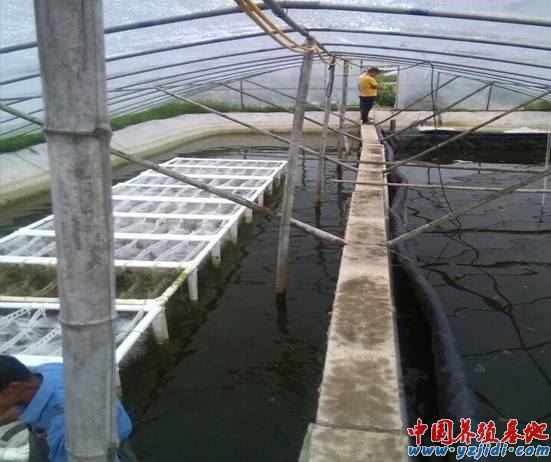 中國養殖基地 yzjidi.com