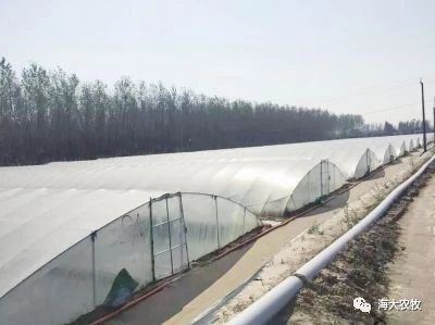 中國養殖基地 yzjidi.com