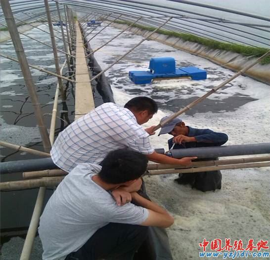 中國養殖基地 yzjidi.com