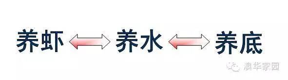 中國養殖基地 yzjidi.com