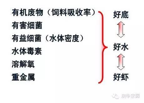 中國養殖基地 yzjidi.com