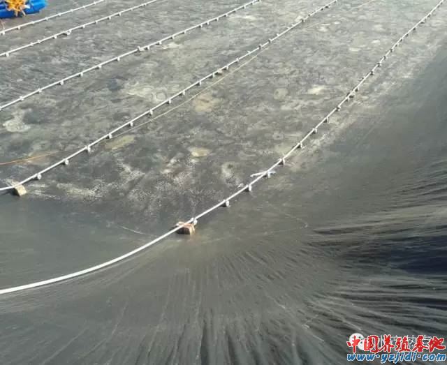 中國養殖基地 yzjidi.com