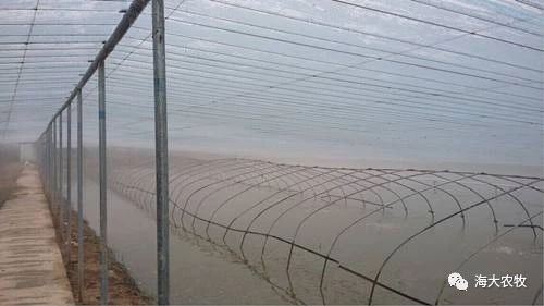中國養殖基地 yzjidi.com