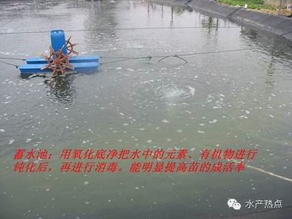 中國養殖基地 yzjidi.com