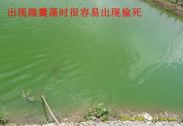 中國養殖基地 yzjidi.com