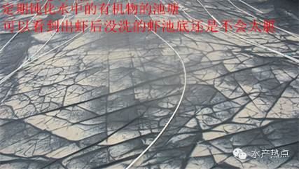 中國養殖基地 yzjidi.com