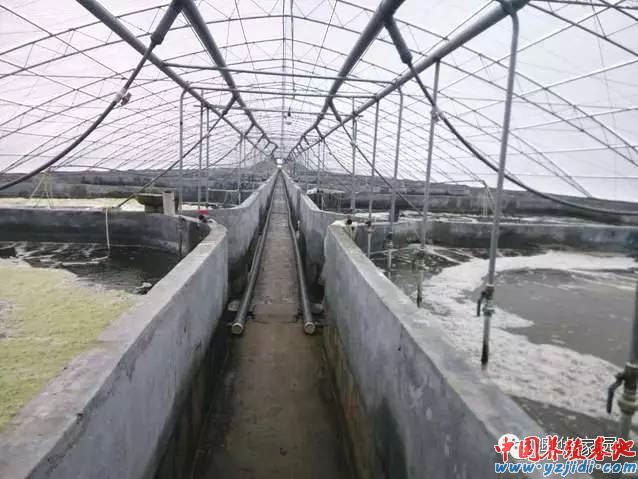 中國養殖基地 yzjidi.com