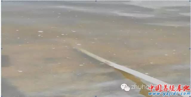 中國養殖基地 yzjidi.com