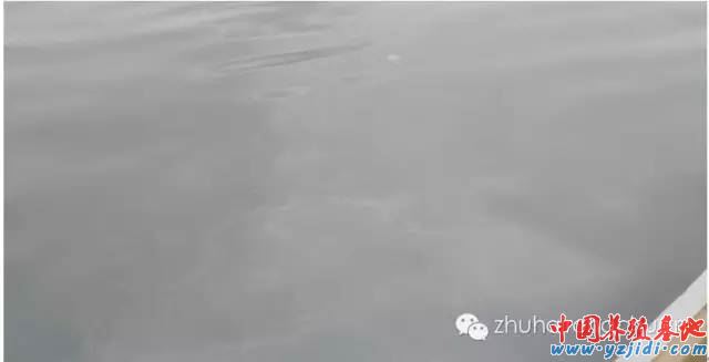 中國養殖基地 yzjidi.com