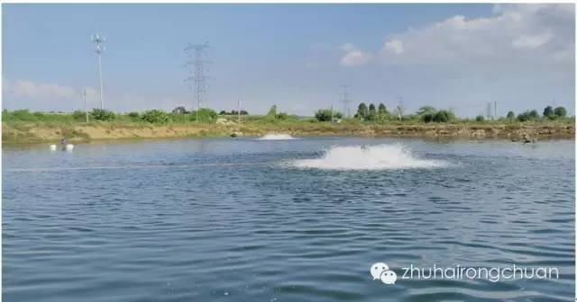 中國養殖基地 yzjidi.com