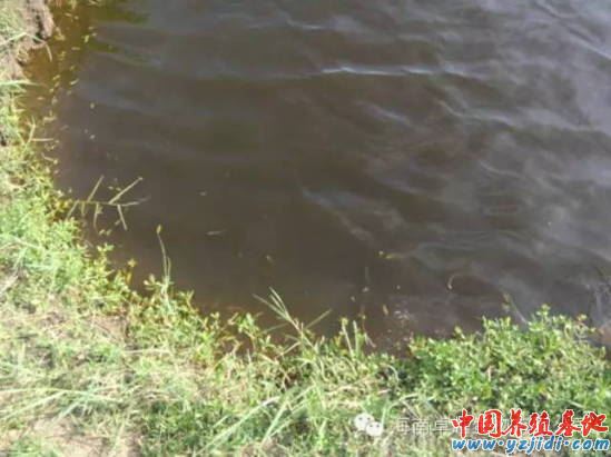 中國養殖基地 yzjidi.com