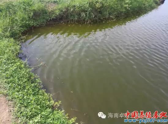 中國養殖基地 yzjidi.com