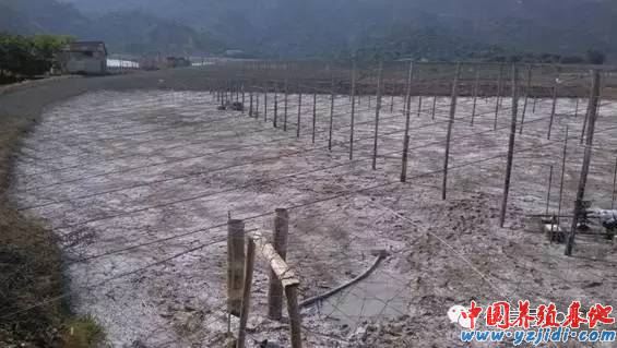 中國養殖基地 yzjidi.com