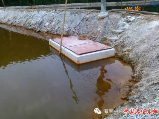 中國養殖基地 yzjidi.com