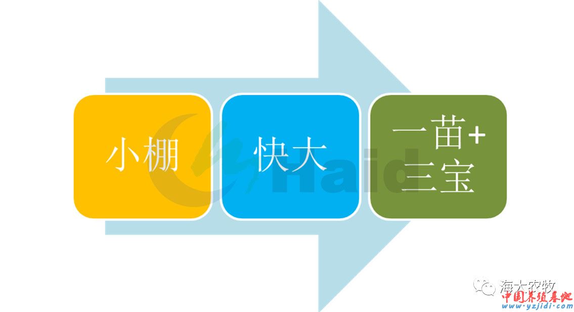 中國養殖基地 yzjidi.com