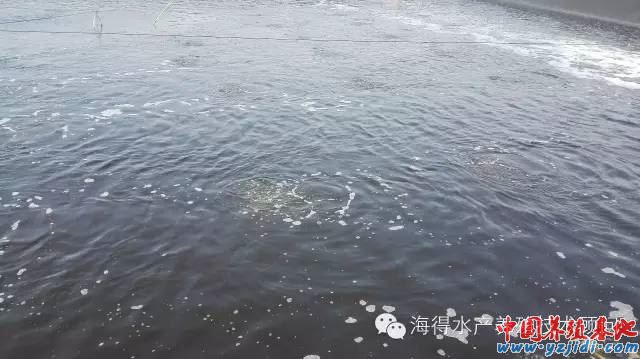 中國養殖基地 yzjidi.com