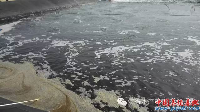 中國養殖基地 yzjidi.com