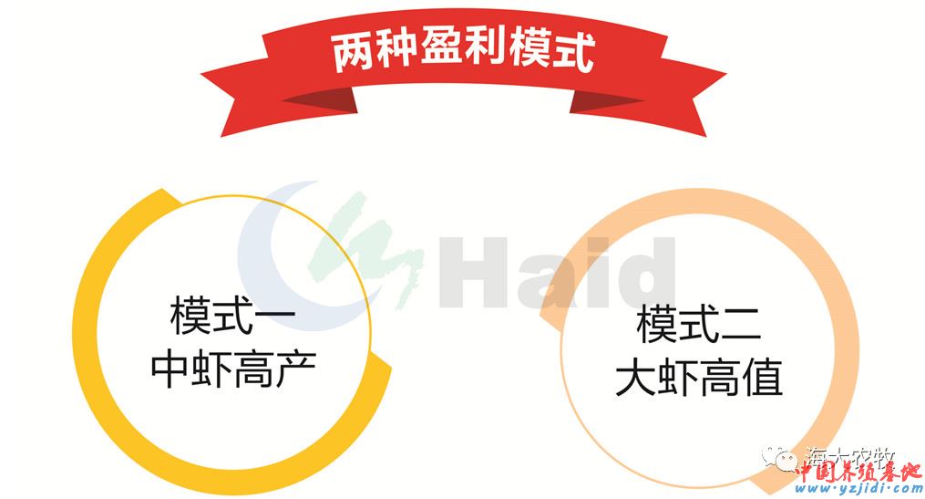 中國養殖基地 yzjidi.com