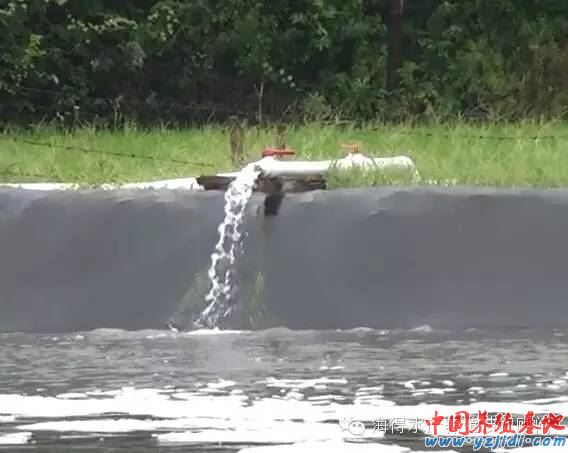 中國養殖基地 yzjidi.com