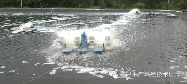 中國養殖基地 yzjidi.com