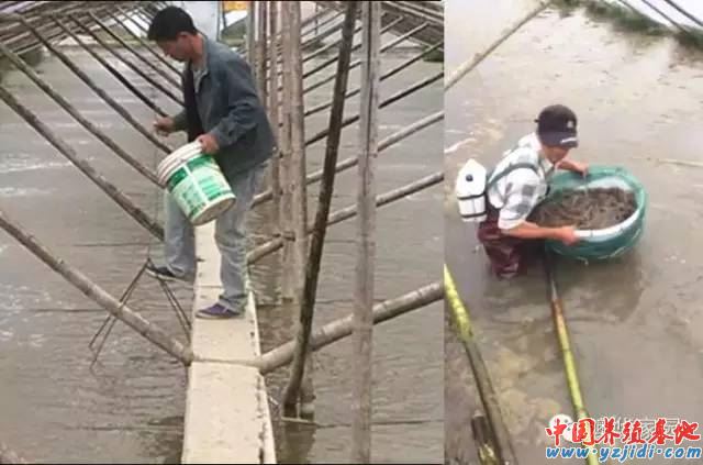 中國養殖基地 yzjidi.com