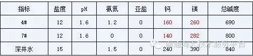中國養殖基地 yzjidi.com