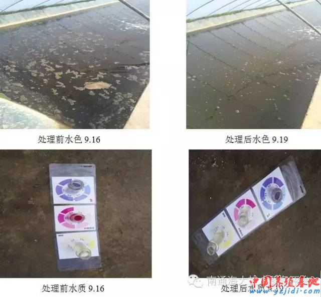中國養殖基地 yzjidi.com