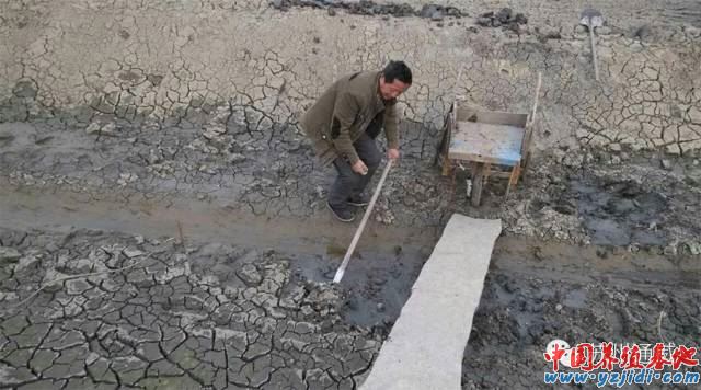 中國養殖基地 yzjidi.com