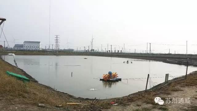 中國養殖基地 yzjidi.com