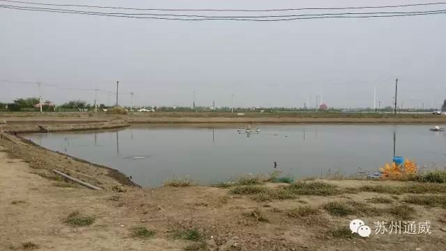 中國養殖基地 yzjidi.com