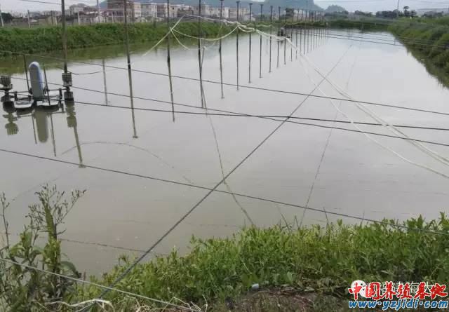 中國養殖基地 yzjidi.com