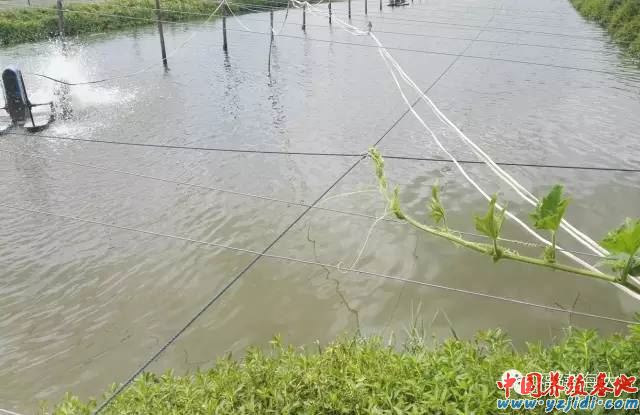 中國養殖基地 yzjidi.com