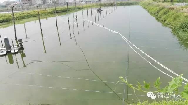 中國養殖基地 yzjidi.com