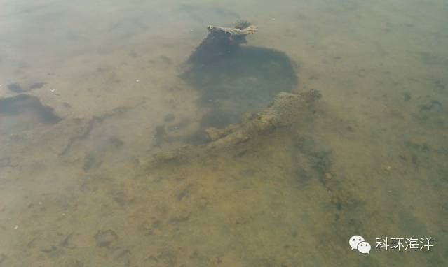 中國養殖基地 yzjidi.com