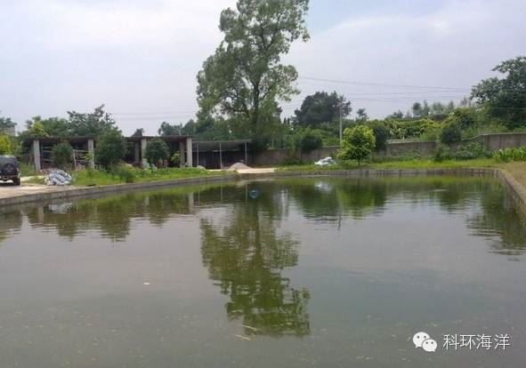 中國養殖基地 yzjidi.com