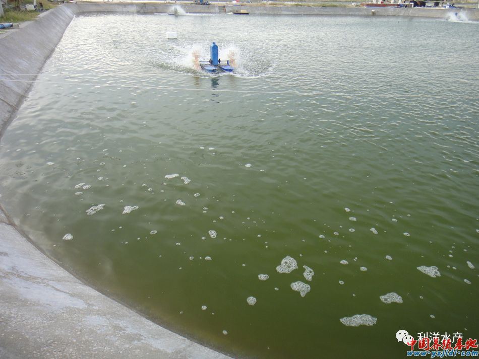 中國養殖基地 yzjidi.com
