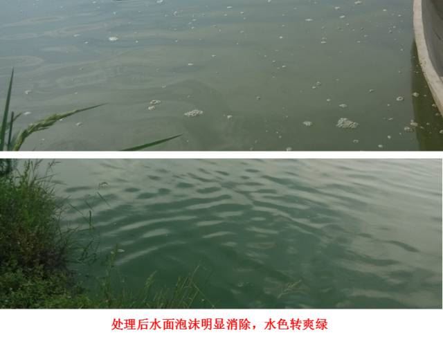 中國養殖基地 yzjidi.com