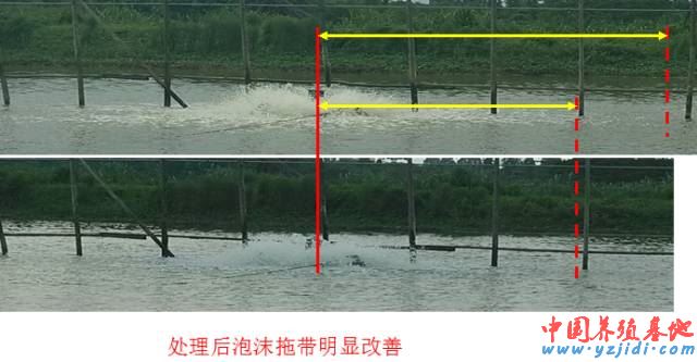 中國養殖基地 yzjidi.com